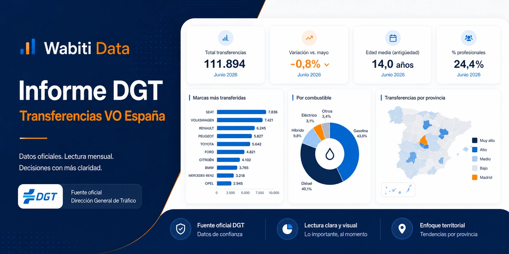 Preview del informe de Wabiti Data