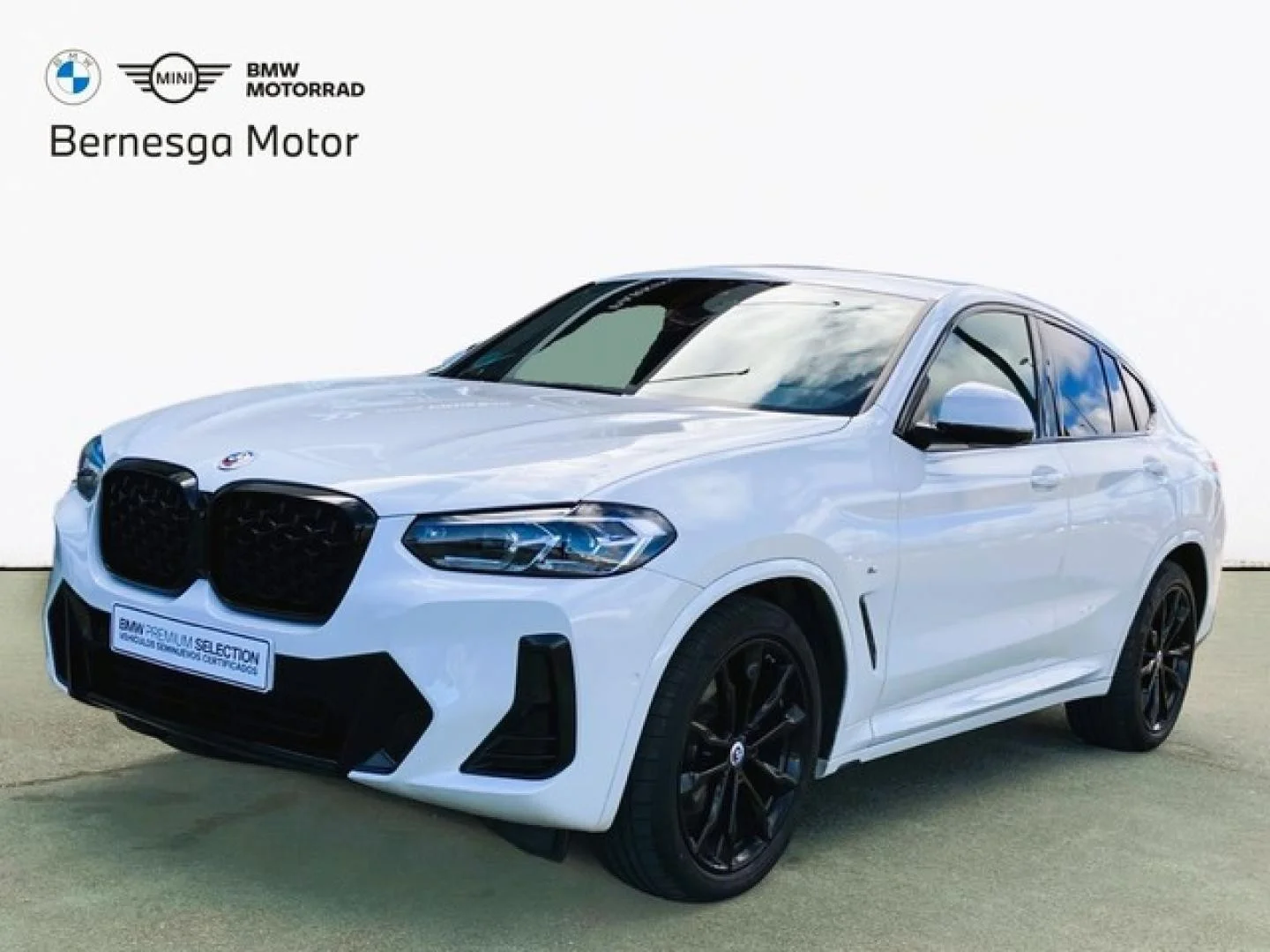 BMW X4 X4 xDrive 20dA xLine