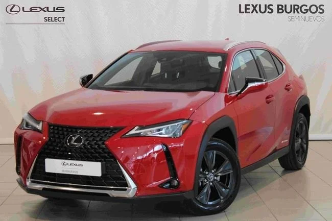 LEXUS UX Business