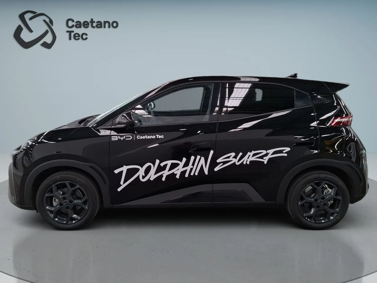 BYD DOLPHIN SURF